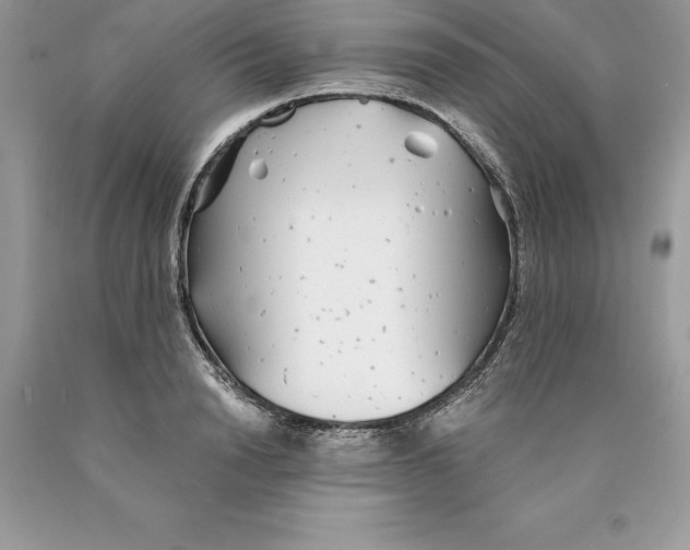 X0000089970846200707271920