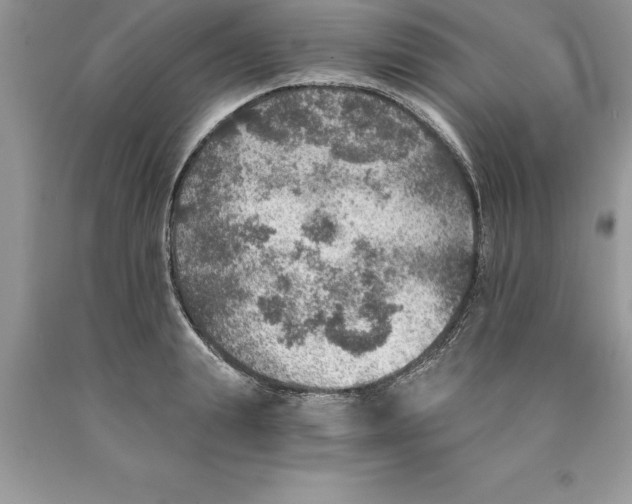 X0000089970847200707271920