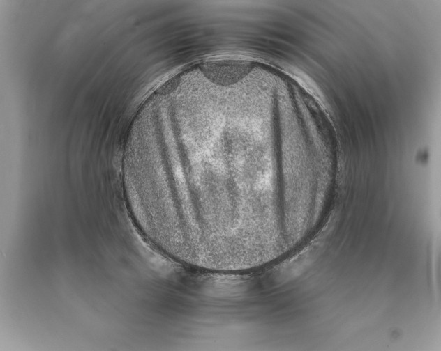 X0000089970849200707271920