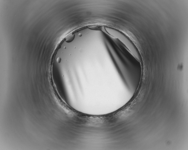 X0000089970850200707271920