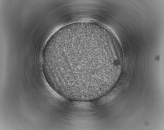 X0000089970851200707271920