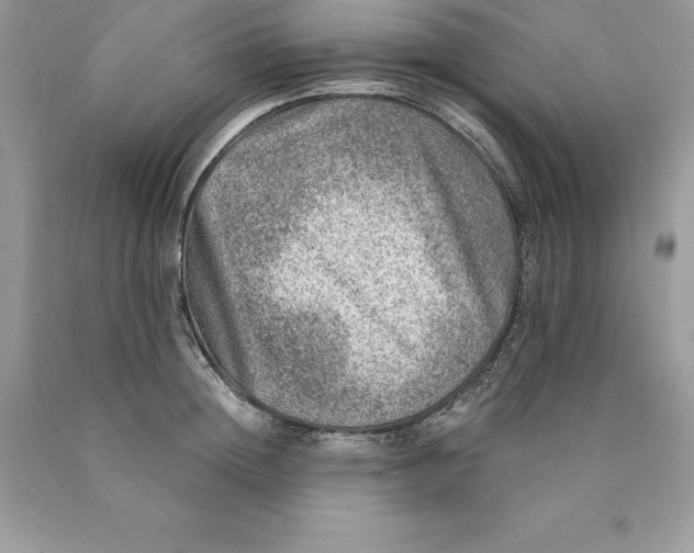 X0000089970852200707271920