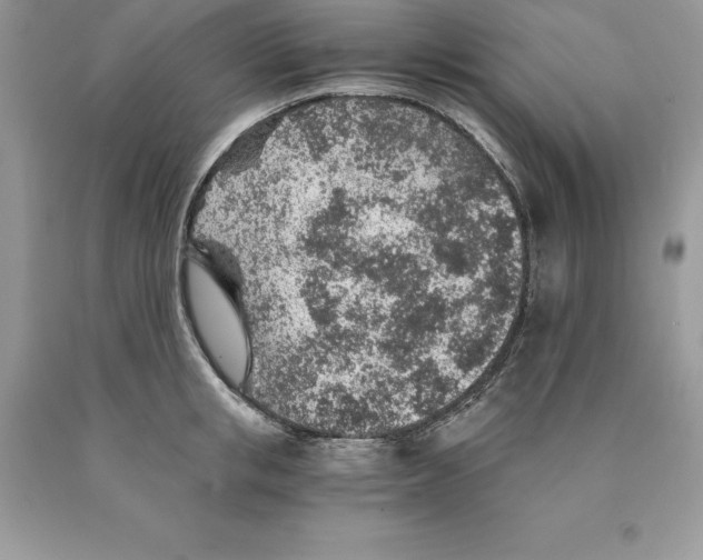 X0000089970853200707271920