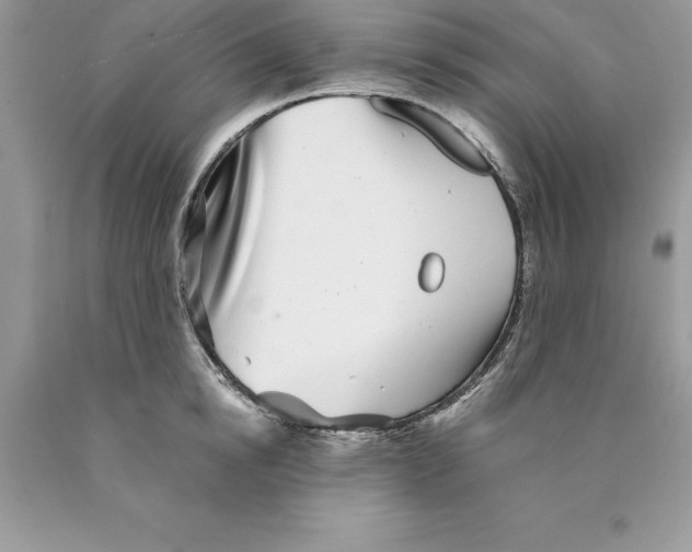 X0000089970854200707271920