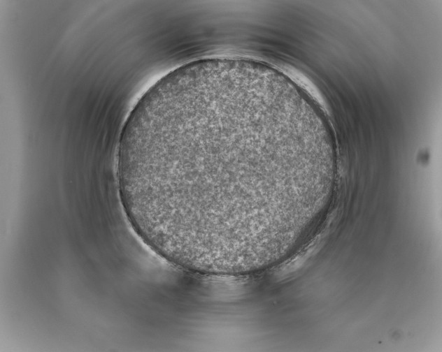 X0000089970855200707271920