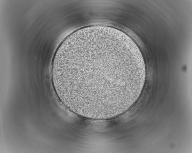 X0000089970856200707271920