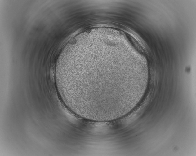 X0000089970857200707271920