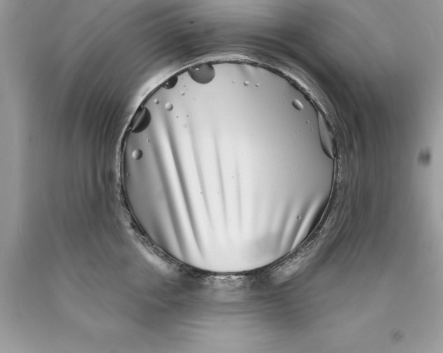 X0000089970858200707271920