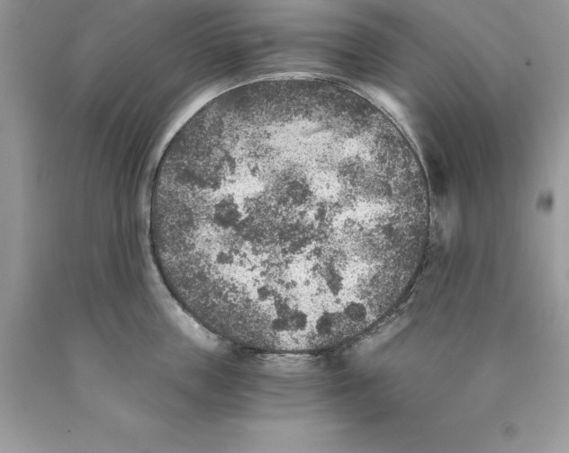 X0000089970859200707271920