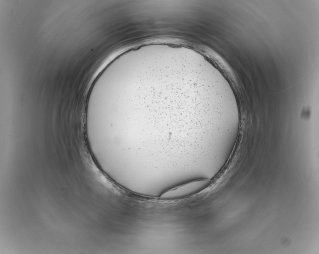 X0000089970860200707271920