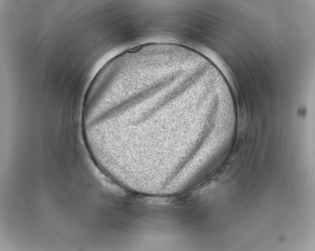 X0000089970861200707271920