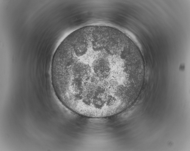 X0000089970863200707271920