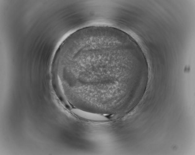 X0000089970864200707271920