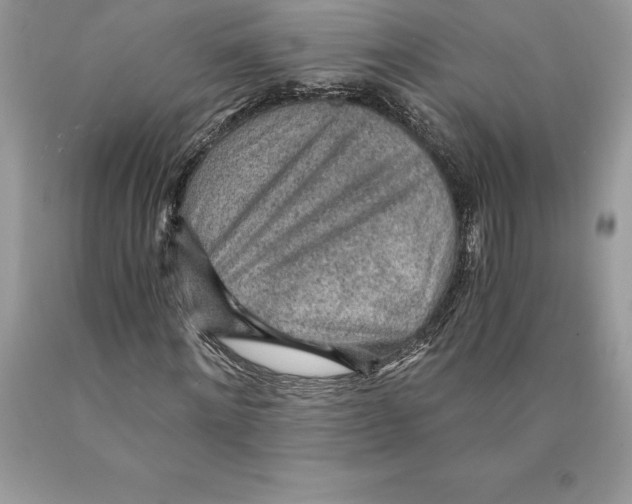 X0000089970868200707271919