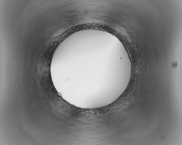 X0000089970869200707271919