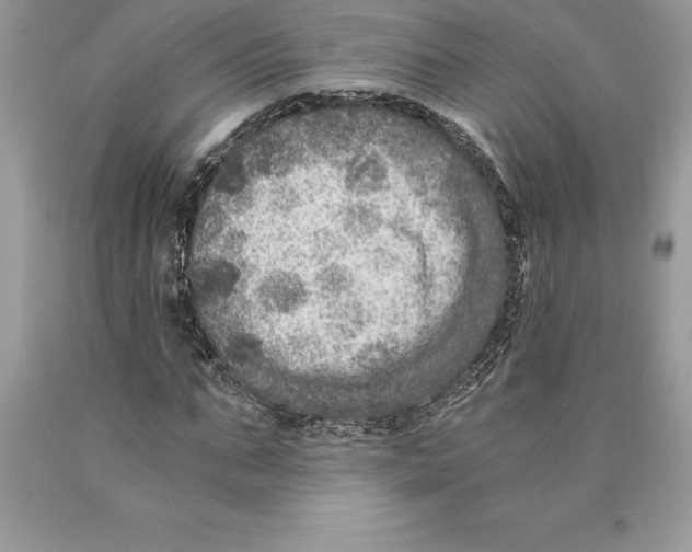 X0000089970871200707271919