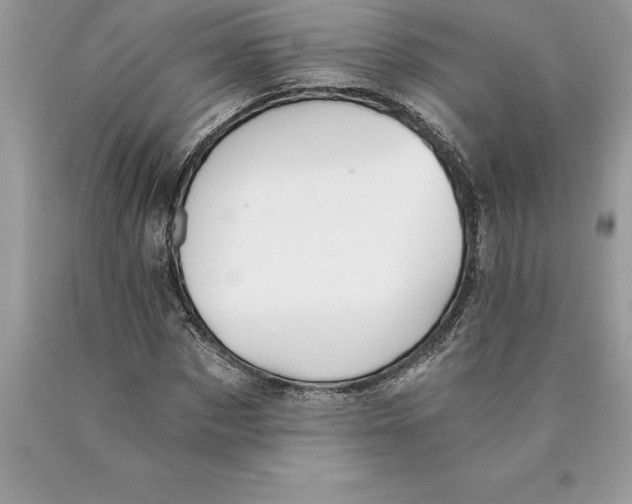 X0000089970873200707271919