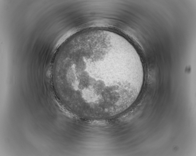 X0000089970874200707271919