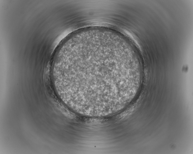 X0000089970875200707271919