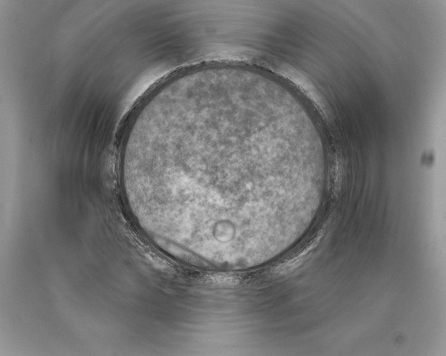 X0000089970878200707271919