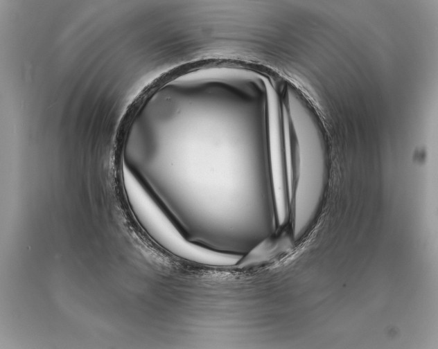 X0000089970880200707271919