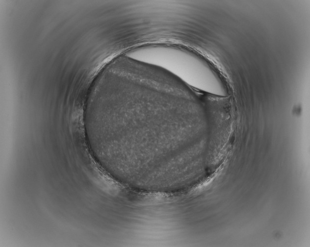 X0000089970881200707271919