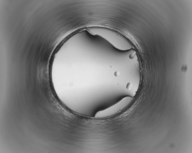 X0000089970884200707271919