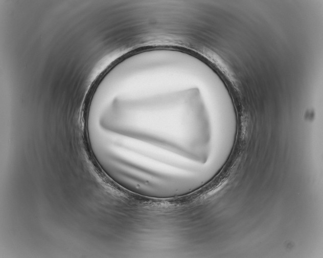 X0000089970885200707271919