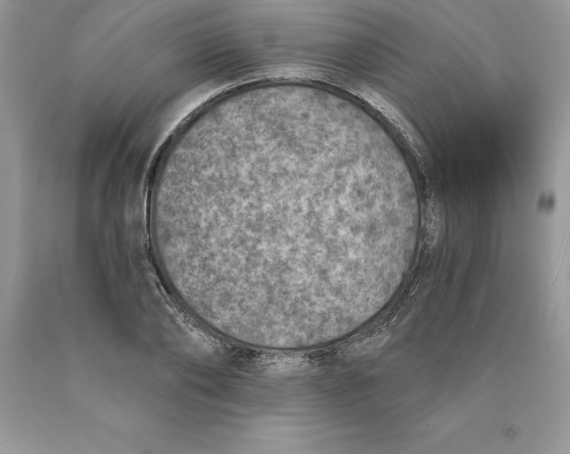 X0000089970886200707271919