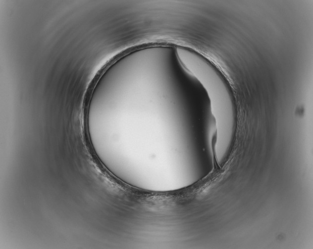 X0000089970888200707271919