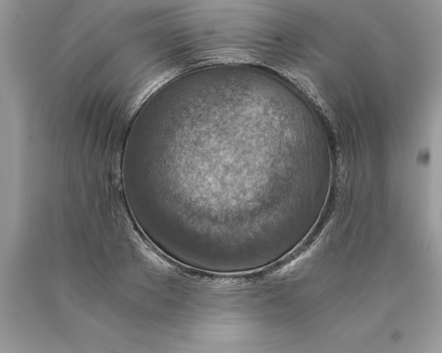 X0000089970889200707271919