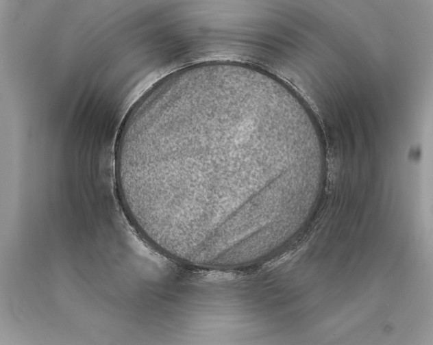 X0000089970890200707271919