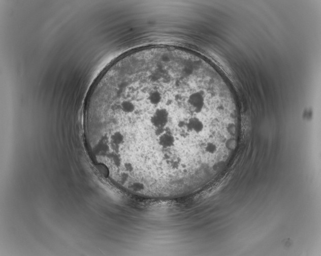 X0000089970891200707271919