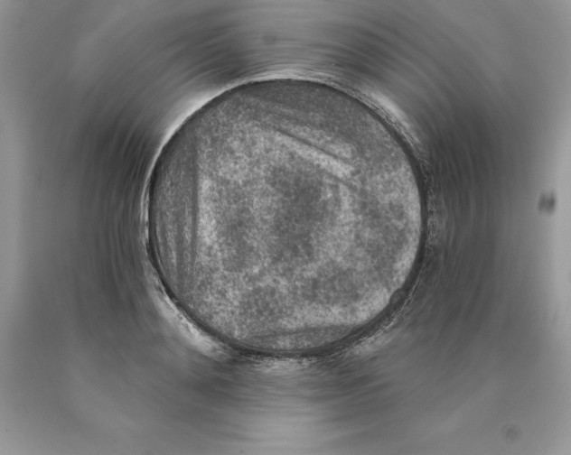 X0000089970892200707271919