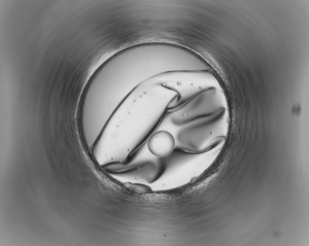 X0000089970893200707271919