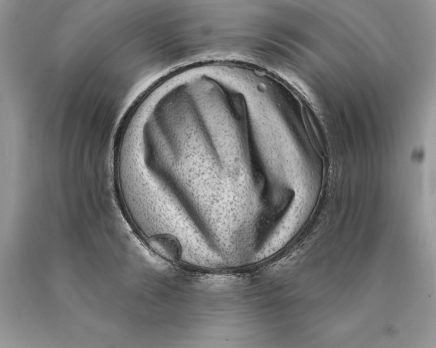 X0000089970894200707271919