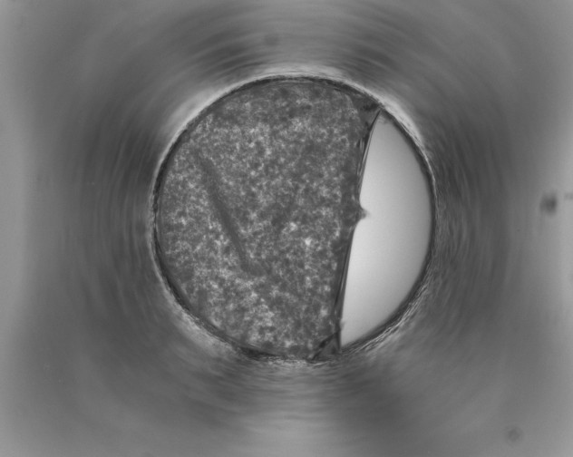 X0000089970895200707271919