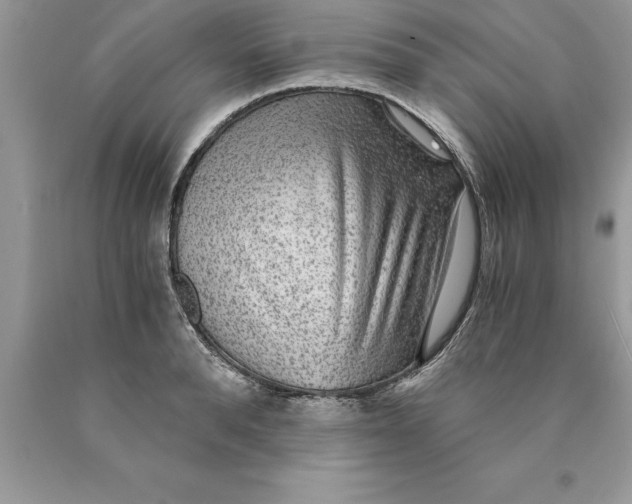 X0000089970896200707271919