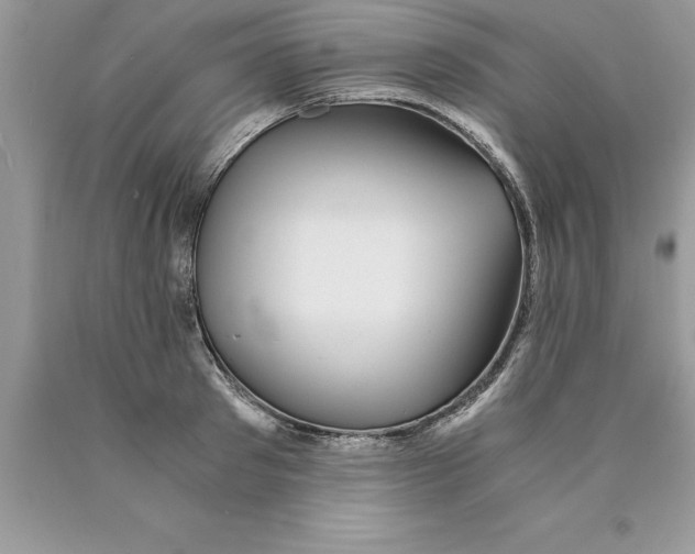 X0000089970897200707271919