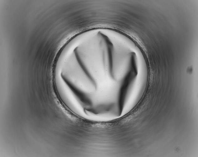 X0000089970898200707271919