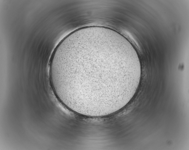 X0000089970900200707271919