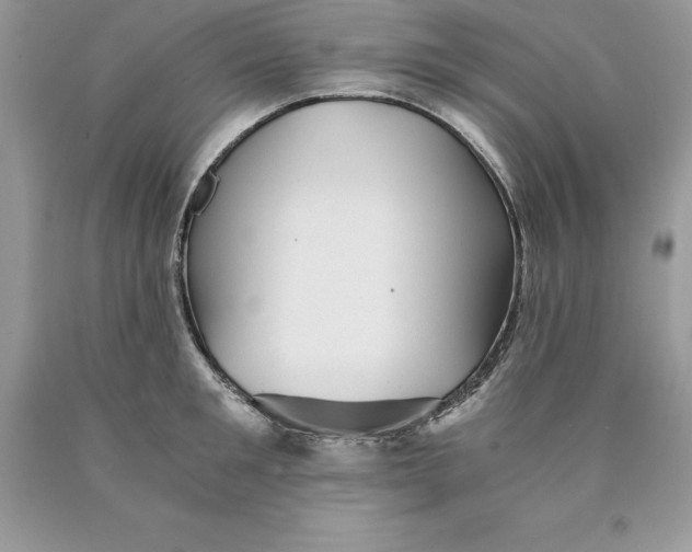 X0000089970901200707271919