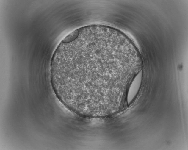 X0000089970903200707271919