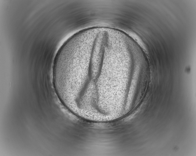 X0000089970904200707271919