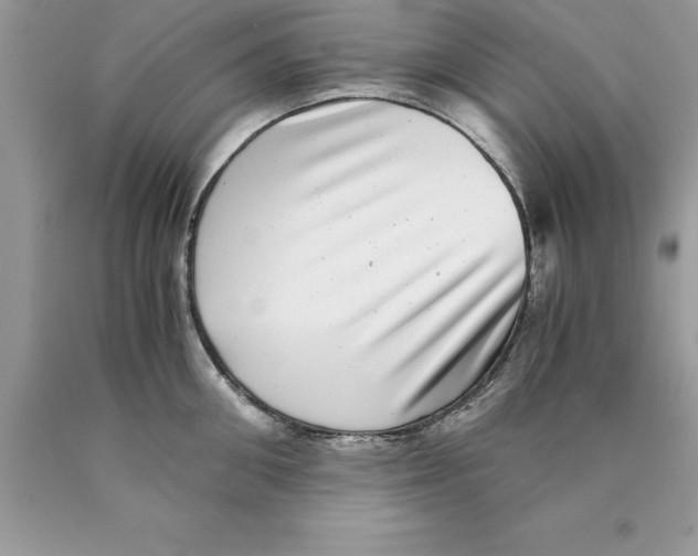 X0000089970906200707271919