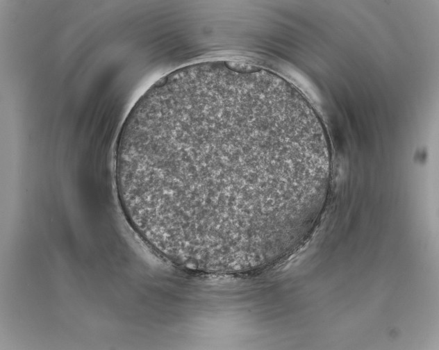 X0000089970907200707271919