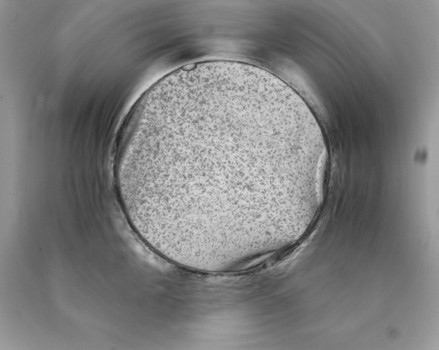 X0000089970908200707271919