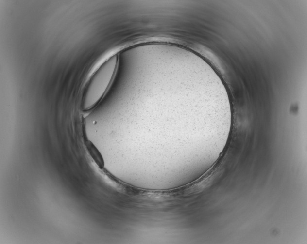 X0000089970910200707271919