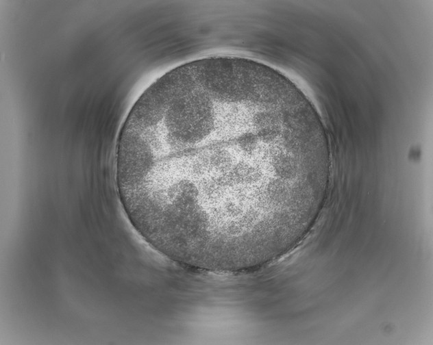 X0000089970911200707271919