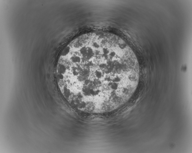 X0000089970913200707271918